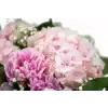 Box of flowers
